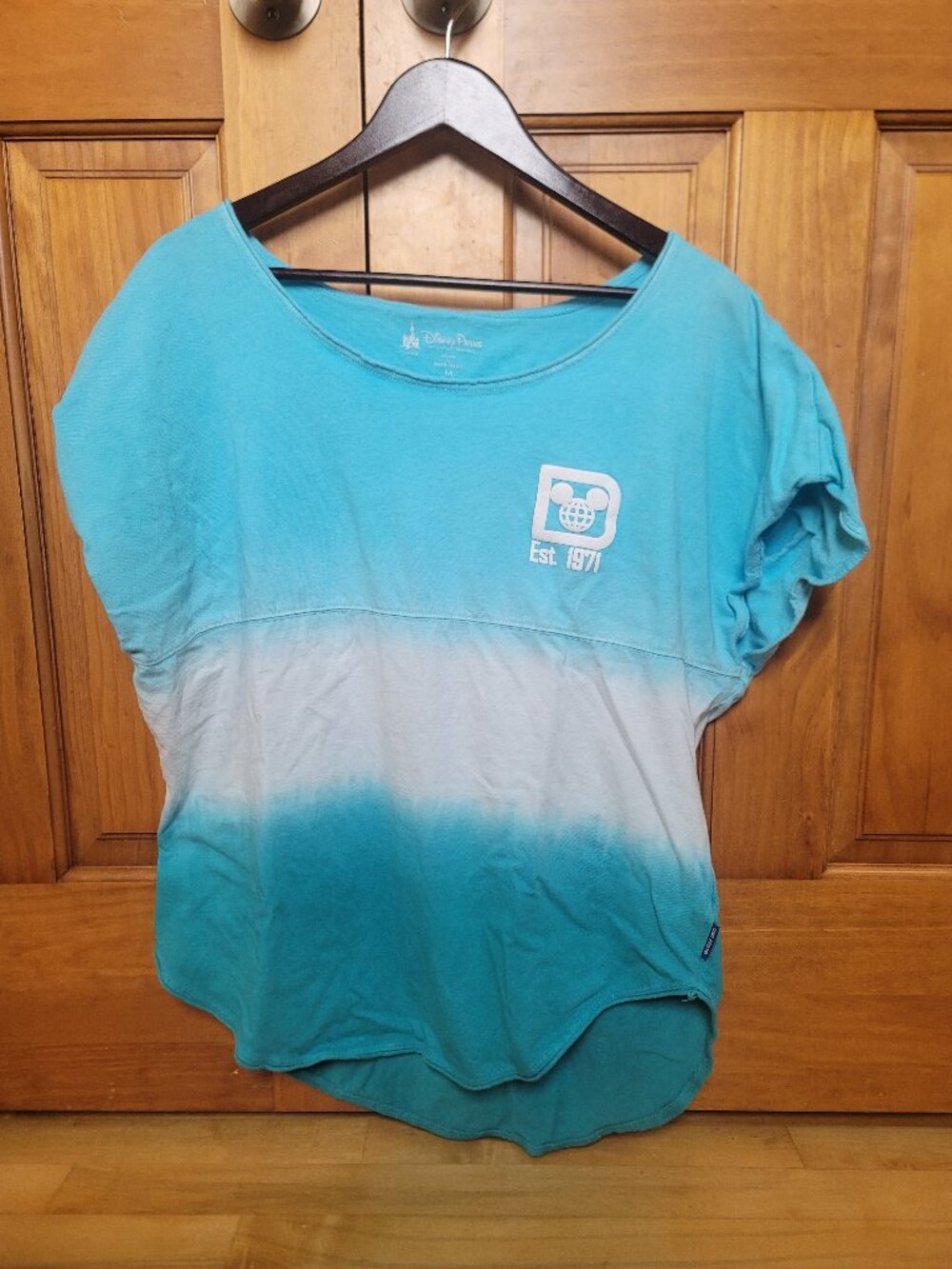 Walt Disney World Resort WDW Ombre Spirit Jersey Blue Size M Short Sleeve